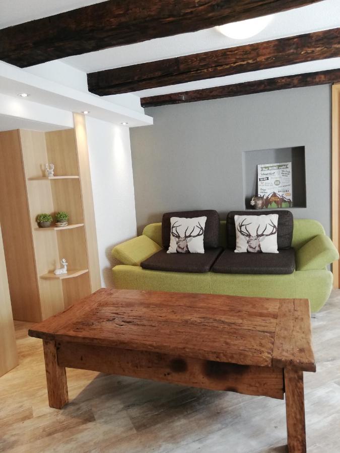 Alp Appartments Tösenssteinach Екстериор снимка